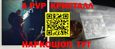 стаф Можга