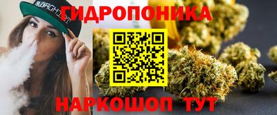 стаф Моздок