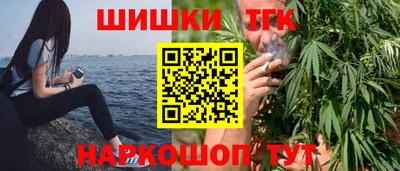 стаф Можга