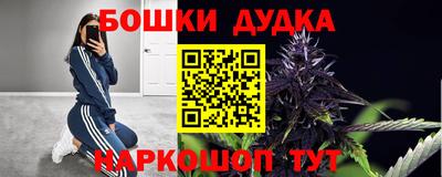 стаф Можга
