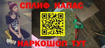 стаф Моздок