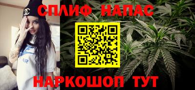 стаф Можга