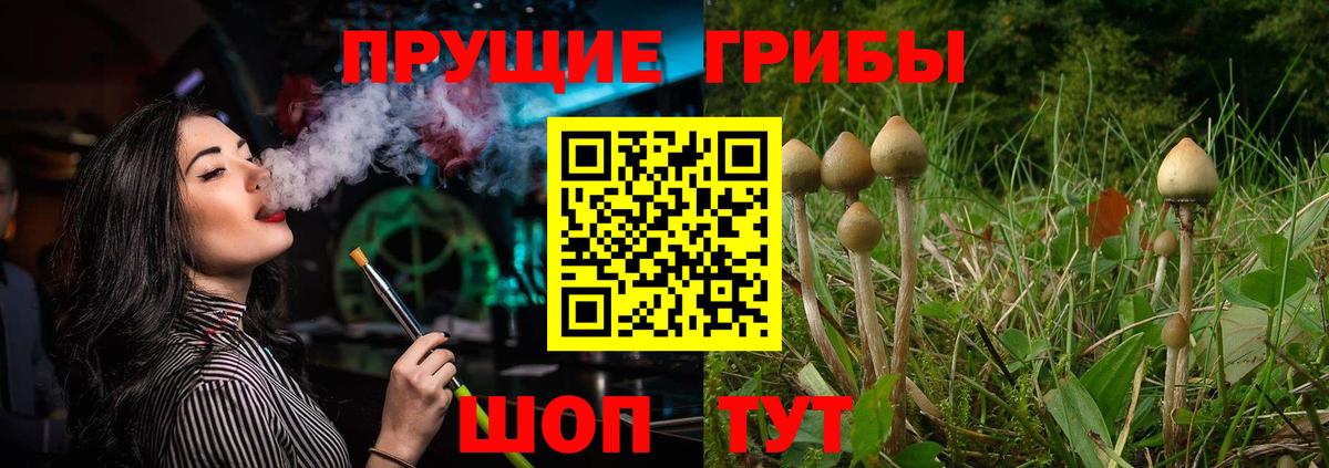 Галлюциногенные грибы MAGIC MUSHROOMS Чита
